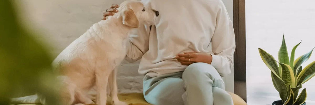 Pourquoi l’allégation « Non Testé sur les Animaux » peut être trompeuse : ce que dit la loi